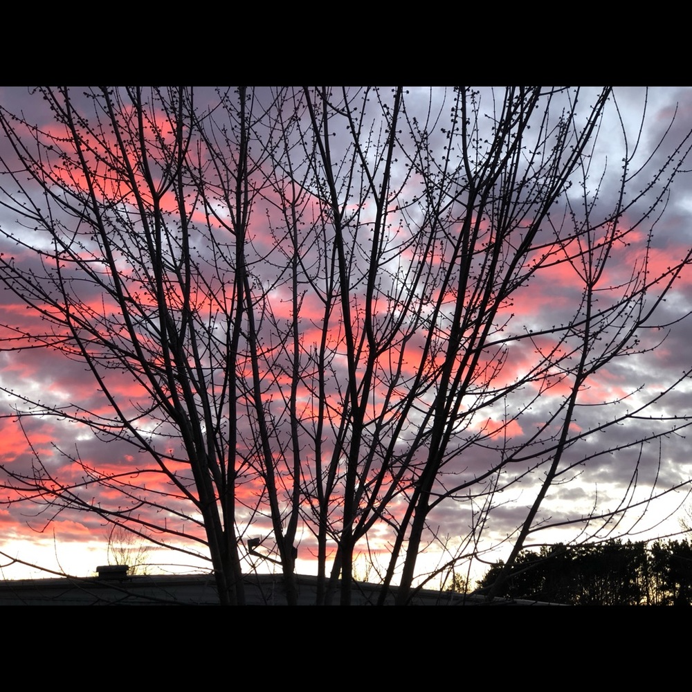 Meet your Posher, Kylee